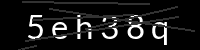 PHP Captcha für Piwigo