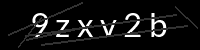 PHP Captcha für Piwigo