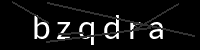 PHP Captcha für Piwigo
