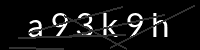 PHP Captcha für Piwigo