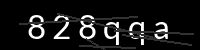 PHP Captcha für Piwigo