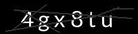 PHP Captcha für Piwigo