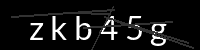 PHP Captcha für Piwigo
