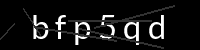 PHP Captcha für Piwigo