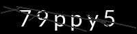 PHP Captcha für Piwigo