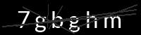 PHP Captcha für Piwigo