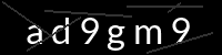 PHP Captcha für Piwigo