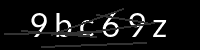 PHP Captcha für Piwigo