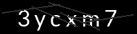 PHP Captcha für Piwigo