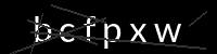 PHP Captcha für Piwigo