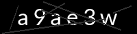 PHP Captcha für Piwigo