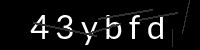PHP Captcha für Piwigo