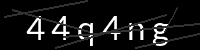 PHP Captcha für Piwigo
