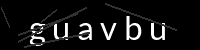 PHP Captcha für Piwigo