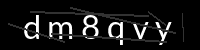 PHP Captcha für Piwigo
