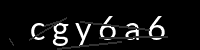 PHP Captcha für Piwigo