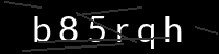 PHP Captcha für Piwigo