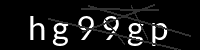 PHP Captcha für Piwigo