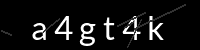 PHP Captcha für Piwigo