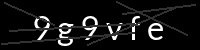 PHP Captcha für Piwigo