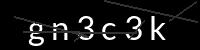 PHP Captcha für Piwigo