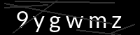 PHP Captcha für Piwigo