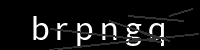 PHP Captcha für Piwigo