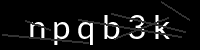PHP Captcha für Piwigo