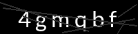 PHP Captcha für Piwigo