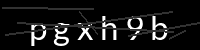 PHP Captcha für Piwigo