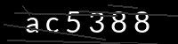 PHP Captcha für Piwigo