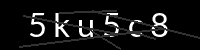 PHP Captcha für Piwigo