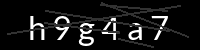PHP Captcha für Piwigo