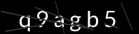 PHP Captcha für Piwigo