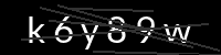 PHP Captcha für Piwigo