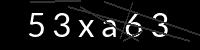 PHP Captcha für Piwigo