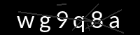 PHP Captcha für Piwigo