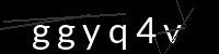 PHP Captcha für Piwigo