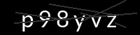 PHP Captcha für Piwigo