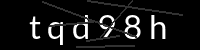 PHP Captcha für Piwigo