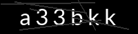 PHP Captcha für Piwigo