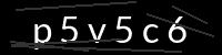 PHP Captcha für Piwigo