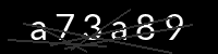 PHP Captcha für Piwigo