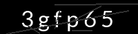 PHP Captcha für Piwigo