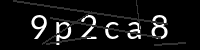 PHP Captcha für Piwigo