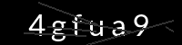 PHP Captcha für Piwigo