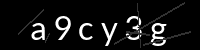 PHP Captcha für Piwigo