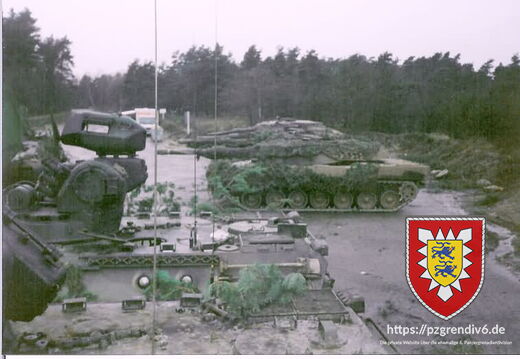 MARDER UND LEOPARD AUF KETT