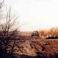 IMG 0017