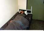 1992 Senne 0002